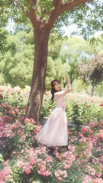 来自母亲的绣感日本片